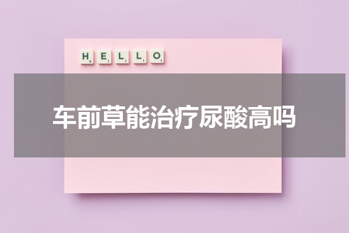 车前草能治疗尿酸高吗