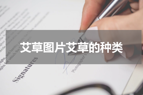 艾草图片艾草的种类