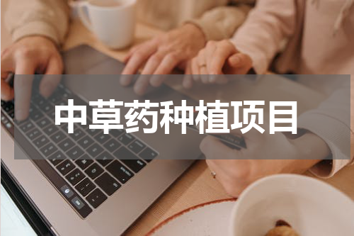中草药种植项目