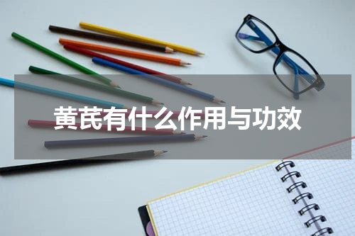 黄芪有什么作用与功效