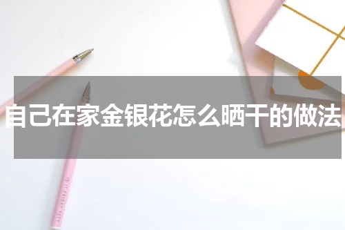自己在家金银花怎么晒干的做法