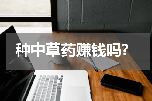 种中草药赚钱吗?