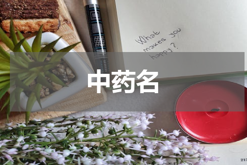 中药名