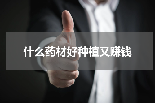 什么药材好种植又赚钱