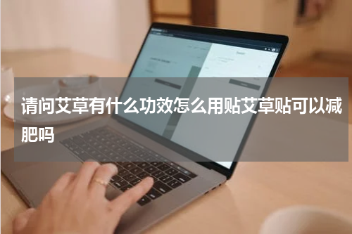 请问艾草有什么功效怎么用贴艾草贴可以减肥吗