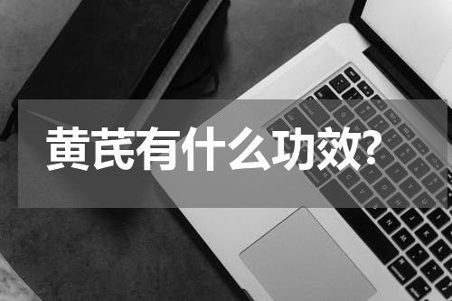黄芪有什么功效?