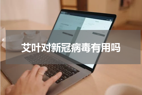艾叶对新冠病毒有用吗