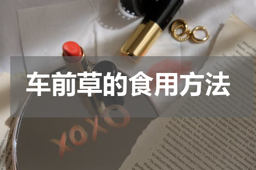 车前草的食用方法