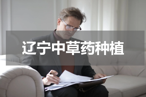 辽宁中草药种植