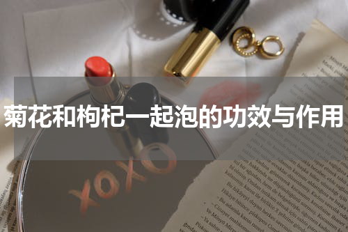 菊花和枸杞一起泡的功效与作用