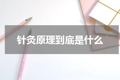 针灸原理到底是什么