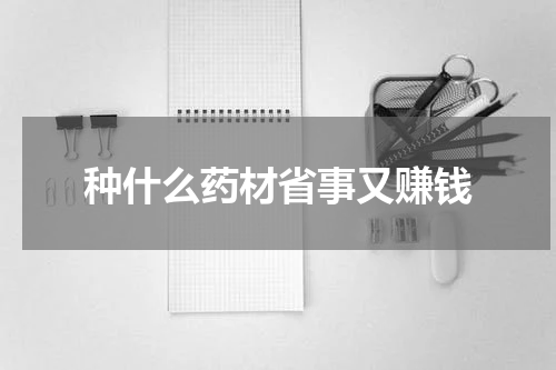种什么药材省事又赚钱