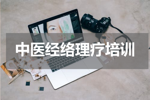 中医经络理疗培训