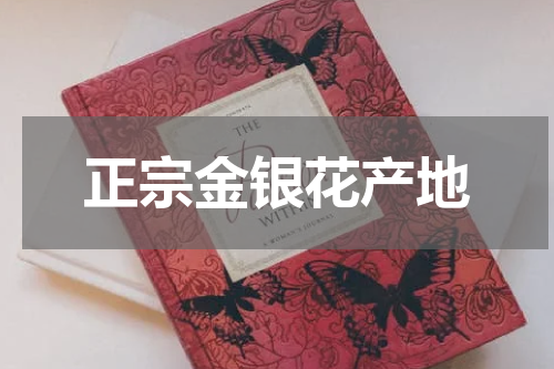 正宗金银花产地