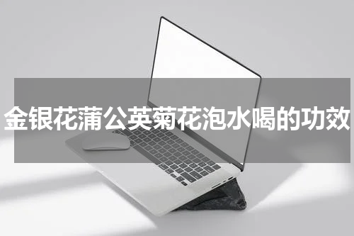 金银花蒲公英菊花泡水喝的功效