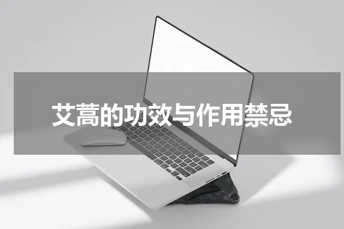 艾蒿的功效与作用禁忌