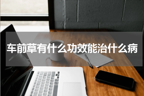 车前草有什么功效能治什么病