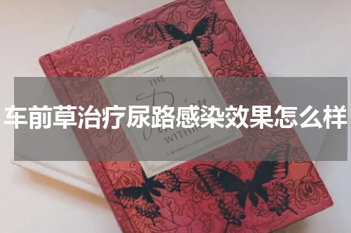 车前草治疗尿路感染效果怎么样