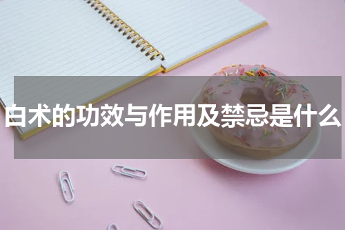 白术的功效与作用及禁忌是什么