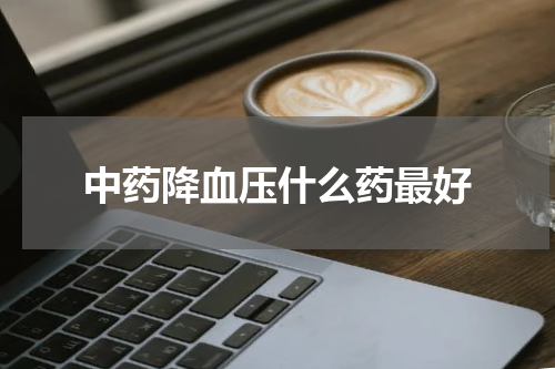 中药降血压什么药最好