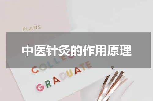 中医针灸的作用原理