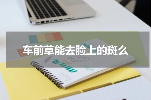 车前草能去脸上的斑么