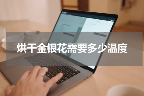 烘干金银花需要多少温度