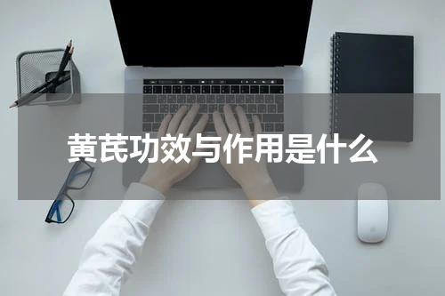 黄芪功效与作用是什么
