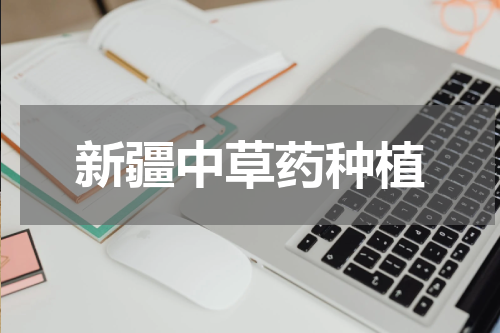 新疆中草药种植