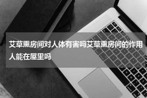 艾草熏房间对人体有害吗艾草熏房间的作用人能在屋里吗