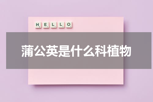 蒲公英是什么科植物
