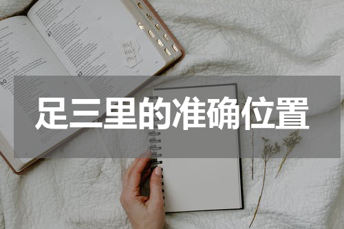 足三里的准确位置