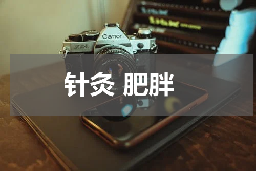 针灸 肥胖
