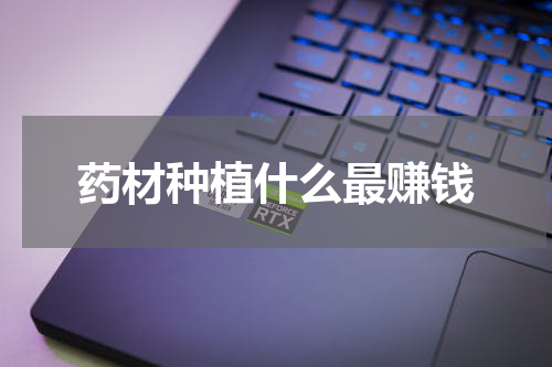 药材种植什么最赚钱