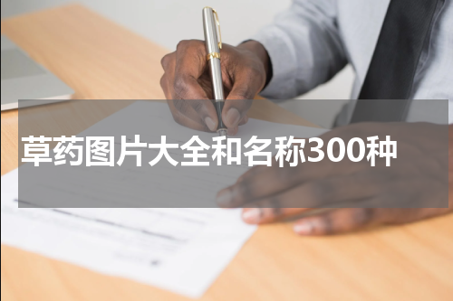 草药图片大全和名称300种