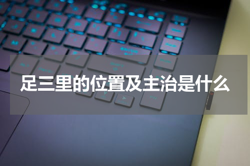 足三里的位置及主治是什么