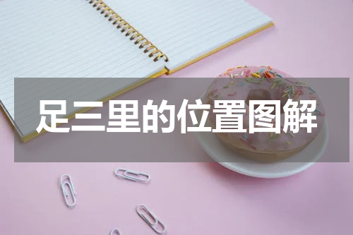 足三里的位置图解