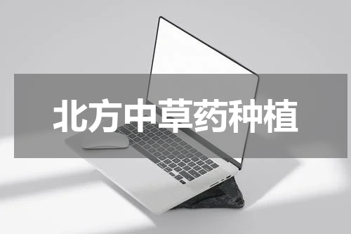 北方中草药种植