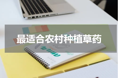 最适合农村种植草药
