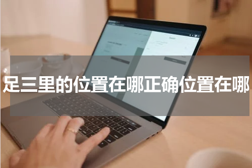 足三里的位置在哪正确位置在哪