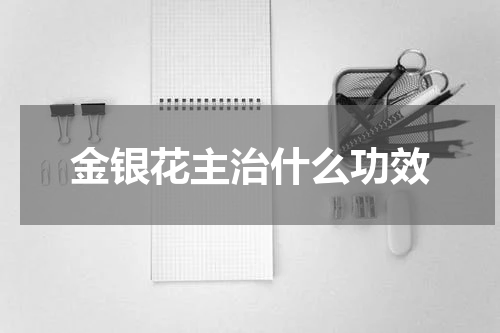 金银花主治什么功效