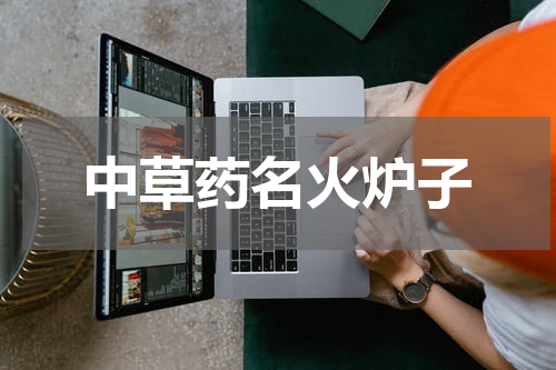 中草药名火炉子