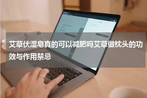 艾草伏湿皂真的可以减肥吗艾草做枕头的功效与作用禁忌