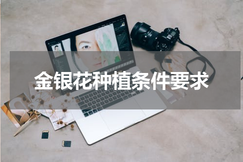 金银花种植条件要求