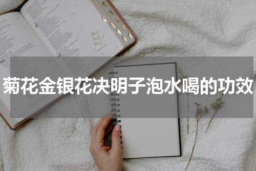 菊花金银花决明子泡水喝的功效