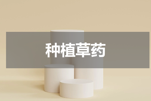 种植草药