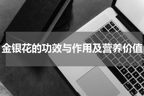 金银花的功效与作用及营养价值