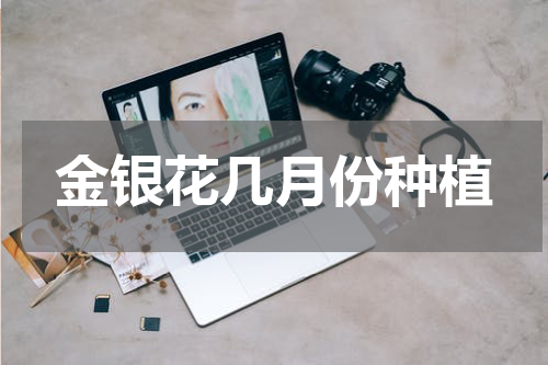 金银花几月份种植