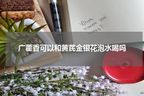 广藿香可以和黄芪金银花泡水喝吗