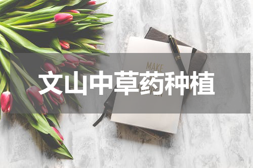 文山中草药种植